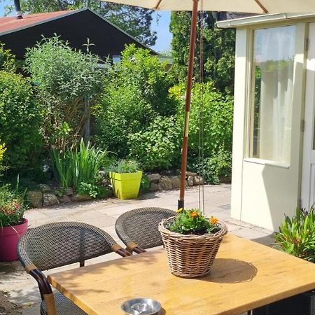Zonnig Zuid Villa Dirkshorn Eksteriør billede
