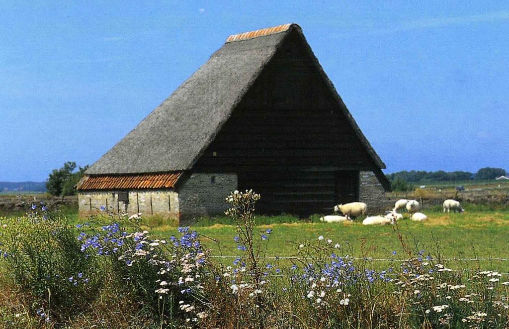 Zonnig Zuid Villa Dirkshorn Værelse billede